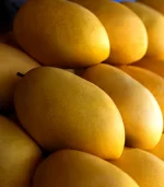 alphonso mangoes