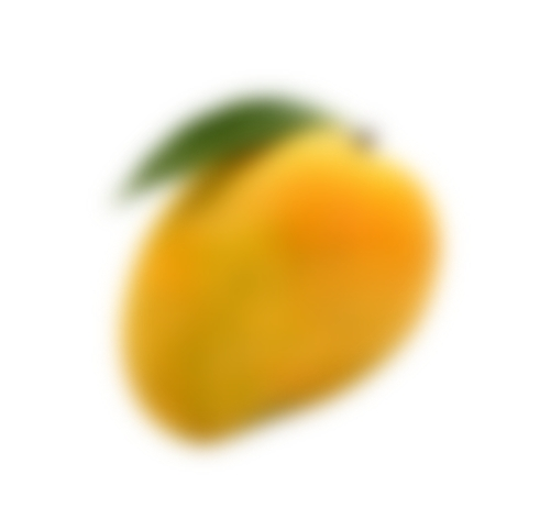 Green-Alphonso-mango-right-side