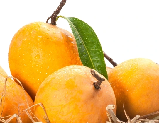 carbide-free-ratnagiri-alphonso-tab