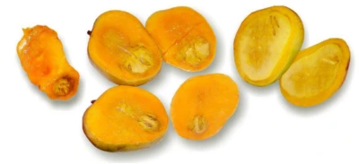 mangos-with-spongy-tissue