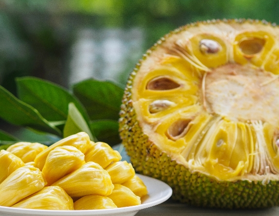 kokan jackfruit